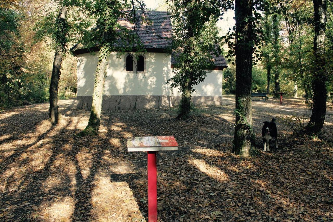 Gites D'Illfurth Exteriér fotografie